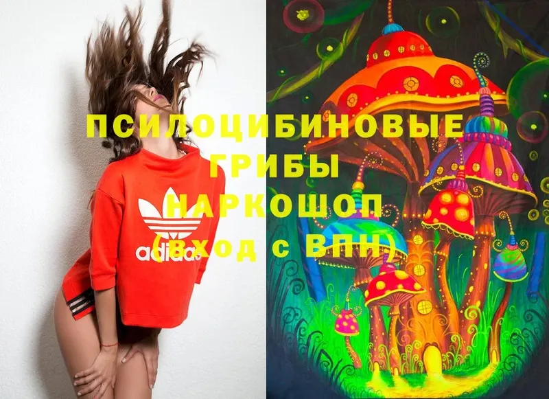 Псилоцибиновые грибы Psilocybe Вяземский