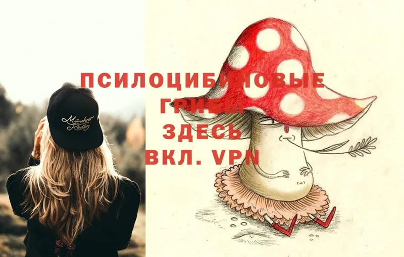 Псилоцибиновые грибы Cubensis  как найти закладки  Вяземский 